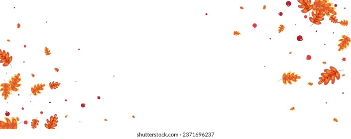 Red Leaf Background White Vector. Plant Art Texture. Orange Oak. Collection Frame. Yellow Acorn Organic.
