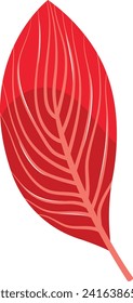 Red leaf detailed illustration with vein patterns. Flat design autumn foliage vector illustration.