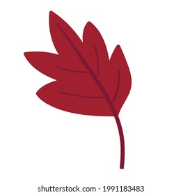 Red leaf isolated on white background. Vector illustration