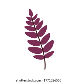 Hoja roja de una ceniza de montaña aislada en un fondo blanco. Una hoja de Rowan caída. Ilustración vectorial plana 