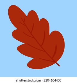 red leaf on a blue background