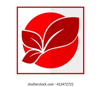 red leaf sprout shoot plant herb image vector
