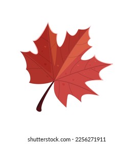 Red leaf sticker. Vector illustration of cute fall item. Cartoon leaf isolated on white background. Autumn decor concept