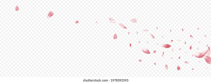 Red Leaf Vector Panoramic Transparent Background. Tree Wind Card. Blossom Beauty Pattern. Rosa March Banner. White Flower Soft Illustration.