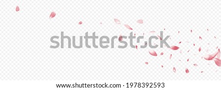 Red Leaf Vector Panoramic Transparent Background. Tree Wind Card. Blossom Beauty Pattern. Rosa March Banner. White Flower Soft Illustration.