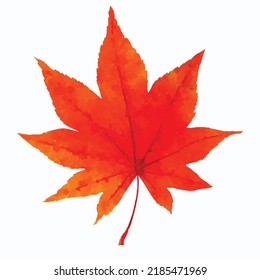 Red leaf vector picture. Autumn maple on white background. Fall leaves picture. Autumn foliage illustration. Watercolor style. Clipart for card, logo and greeting card.