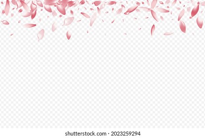 Red Leaf Vector Transparent Background. Tree Falling Pattern. Rosa Marriage Texture. Blossom Wedding Template. Purple Sakura Realistic Design.