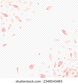 Red Leaf Vector Transparent Background. Apple Isolated Pattern. Rosa Falling Backdrop. Heart Sky Design. Bright Blossom Tender Texture.