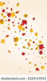 Red Leaf Vector Transparent Background. Season Plant Frame. Colorful Collection Floral Design. Realistic Card.