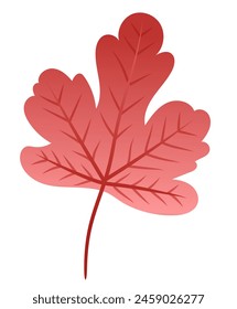 Red leaf with veins in flat design. Decorative maple foliage on twig. Vector illustration isolated.
