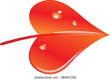 red leaf with water drop