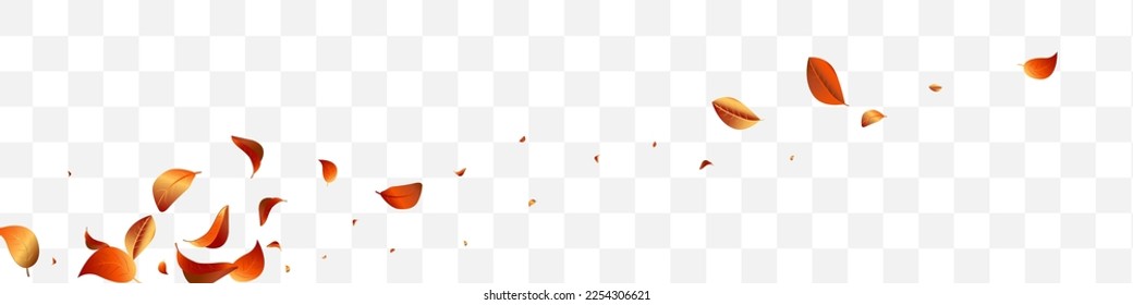 Folleto de fondo Panorámico Transparente y Blanco Vector de Viento de Hojas Rojas. Patrón de hojas de vuelo. Fondo De Desenfoque Solar Naranja. Rama de la Naturaleza Foliage.