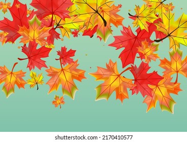 Red Leaves Background Green Vector. Leaf Isolated Card. Ocher October Foliage. Forest Plant Template.