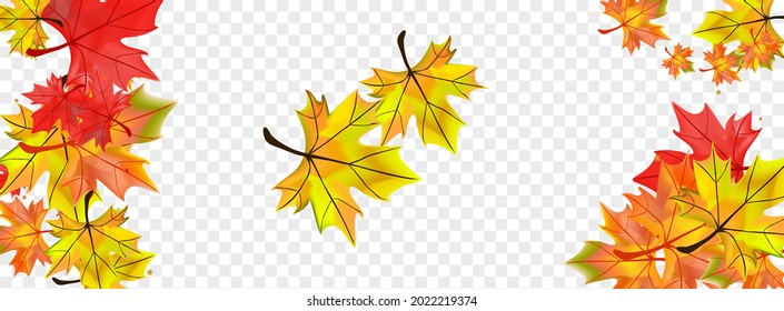 Red Leaves Background Transparent Vector. Floral Collection Illustration. Brown Nature Leaf. November Foliage Design.