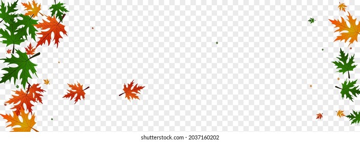 Red Leaves Background Transparent Vector. Floral Season Pattern. Gold National. October Frame. Ocher Maple Canadian.