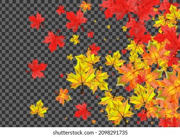Rote Blätter Hintergrund transparenter Vektorgrafik. Illustration zur Blütezeit. Braunes abstraktes Blattwerk. Naturleaf-Textur.