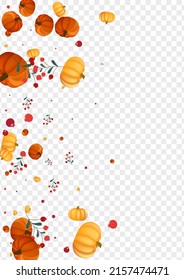 Red Leaves Background Transparent Vector. Gold Print Card. Yellow Plant Nature Banner. Pumpkin Abstract. Foliage Set.