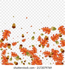 Red Leaves Background Transparent Vector. Foliage Simple Texture. Orange Plant. Silhouette Set. Green Leaf Dead.