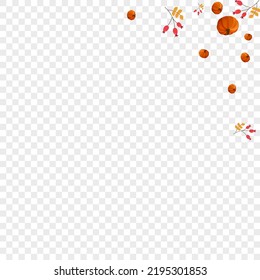 Red Leaves Background Transparent Vector. Gold Holiday Texture. Green Pumpkin Drawing Banner. Vegetable Image. Food Template.