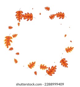Red Leaves Background White Vector. Oak Object Frame. Golden Plant. Dead Design. Yellow Acorn Symbol.