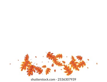 Red Leaves Background White Vector. Leaf Gradation Texture. Gold Acorn. Image Set. Orange Oak Forest.