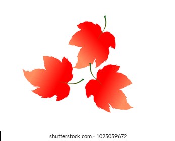 Red Leaves - Cartoon Vector Image