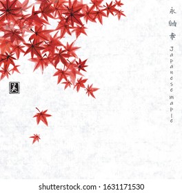 Red leaves japanese maple in fall rice paper backgrund l  Traditional Japanese ink wash painting sumi  e  Hiieroglyphs    eternity  freedom  happiness  beauty