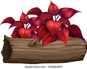 Hojas rojas en la ilustración de fondo blanco
