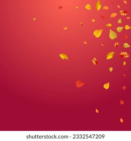Red Leaves Vector Red Background. Nature Foliage Frame. Brown November Plant Design. October Illustration.