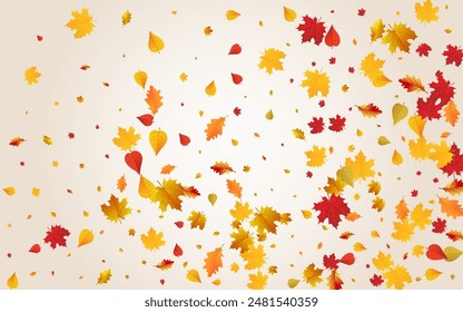 Red Leaves Vector Transparent Background. Decor Foliage Frame. Brown Bright Leaf Template. Flying Design.