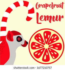 Red lemur and grapefruit drawn vector art