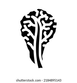 red lettuce glyph icon vector. red lettuce sign. isolated symbol illustration
