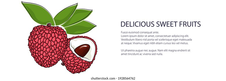 Red lichee banner, tropical fruit isolated on white background, vector illustration