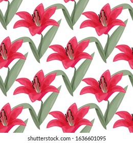 Red lily tropical flower. Vector isolated plant on white background.