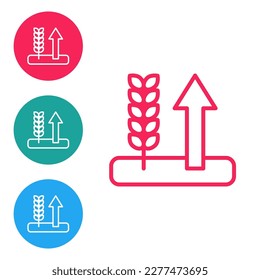 Red line Cereals set with rice, wheat, corn, oats, rye, barley icon isolated on white background. Ears of wheat bread symbols. Set icons in circle buttons. Vector