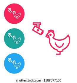 Red line Chicken farm and wireless Controlling CCTV security camera icon isolated on white background. Set icons in circle buttons. Vector Illustration