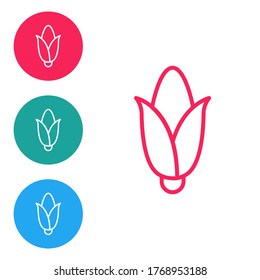 Icono de maíz de línea roja aislado en fondo blanco. Establezca los iconos en los botones de círculo. Vector