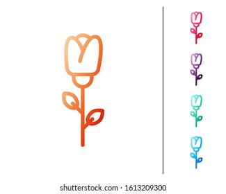 Red line Flower rose icon isolated on white background. Set color icons. Vector Illustration