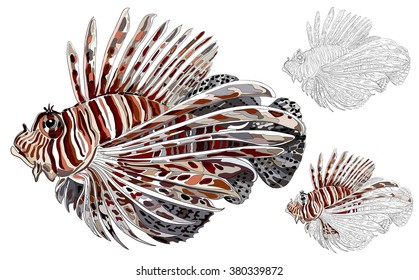 red lionfish Pterois volitans, vector image