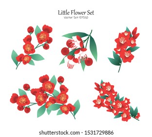 Red Little Flower Vector File EPS10 Package Set, Vector illustration design element