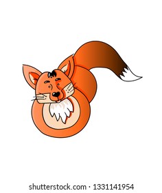 Red little fox