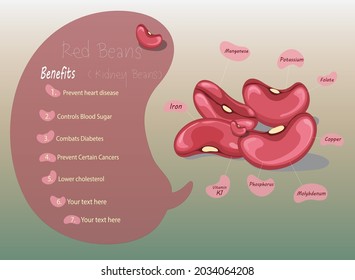 red little kidney beans vector