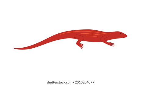 Red little lizard side view. Vector flat illustration of reptile isolated on white background. Amphibian for poster about wildlife.