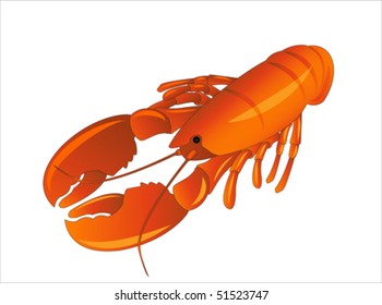 Red lobster or crayfish