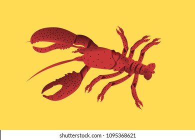 Red lobster. Isolated  background.
