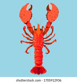 Red lobster isolated hand-drawn vector illustration. Modern red lobster with big claws design for web and print. Expensive seafood concept. Underwater animals.