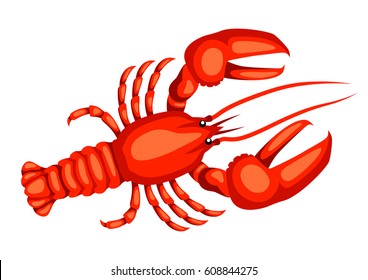 Red lobster. Isolated illustration of seafood on white background.