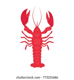 Red lobster isolated on white. Sea food vector illustration