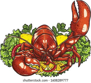 Red lobster with lemon and vegetable on white background.boiled lobster vector art highly detailed in line art style.