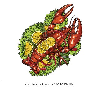 Red lobster with lemon and vegetable on white background.boiled lobster vector art highly detailed in line art style.